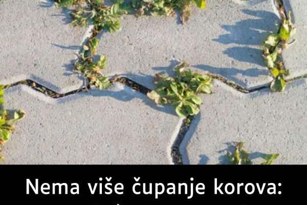 Nema više čupanje korova: Na proljeće samo pospite 1 namirnicu po njemu i biće trajno uništen